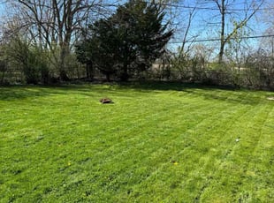 Phillip J.'s Lawn Mowing service result