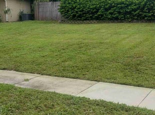 Arthur S.'s Lawn Mowing service result
