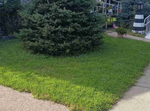 Melody R.'s Grass Cutting service result