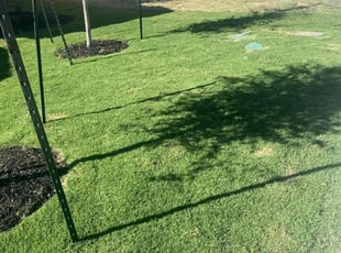 Allison D.'s Lawn Service service result