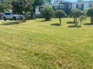 Damon T.'s Lawn Mowing service result