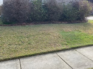 Bush Trimming by Carl George for Pia D. in Baton Rouge, LA
