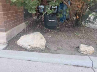 Leaf Removal by Clemente Ariza for Joe G. in Chicago, IL