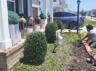 Rhonda Gale T.'s Bush Trimming service result
