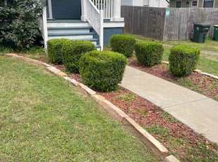 Bush Trimming by Curtis Stewart for Madison H. in Little Rock, AR