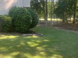 Rodney B.'s Lawn Care service result
