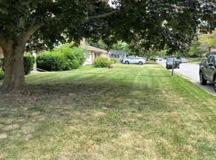 Desiree S.'s Lawn Service service result