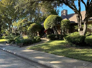 Saul B.'s Lawn Mowing service result