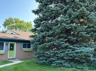 Jessica M.'s Lawn Care service result