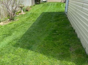 Shawna B.'s Yard Cutting service result