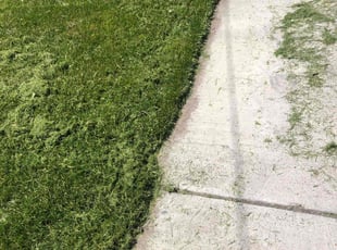 Richard C.'s Lawn Service service result