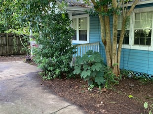 Cleanups by Queanesia Nelloms for Miranda S. in Tallahassee, FL