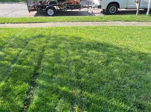 Todd G.'s Lawn Care service result