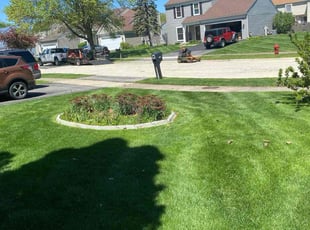 Jen C.'s Lawn Mowing Service service result