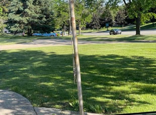 Lynn S.'s Lawn Maintenance service result