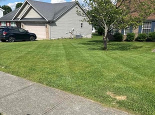 Phillip M.'s Lawn Service service result