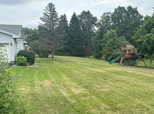 Terry L.'s Lawn Care service result