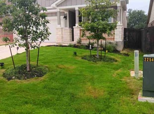 Sophia G.'s Lawn Service service result