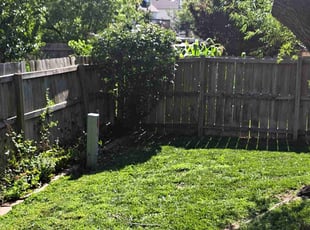 Bush Trimming by William Beacham for Shami S. in Wichita, KS
