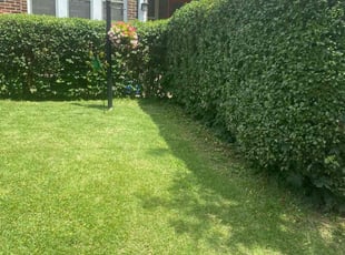 Bush Trimming by Curt Woods for Jill C. in Philadelphia, PA