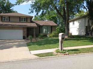Danie D.'s Yard Cutting service result