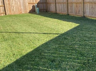 Nicholas N.'s Lawn Service service result