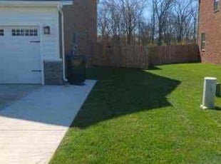 Marissa V.'s Lawn Mowing Service service result