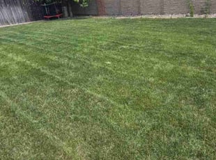 Nicole A.'s Lawn Mowing service result