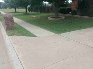 Nitza L.'s Lawn Care service result