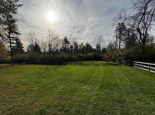 Kenneth G.'s Lawn Mowing service result