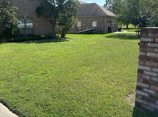 Pamela B.'s Lawn Care service result