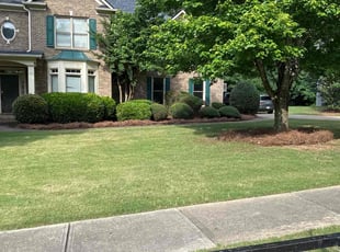 Vicki B.'s Lawn Care service result