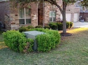 Leaf Removal by Teresa Stephens for Enrique C. in San Antonio, TX