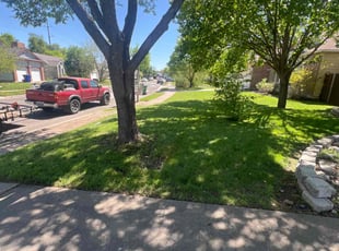 Marilynn H.'s Lawn Care service result