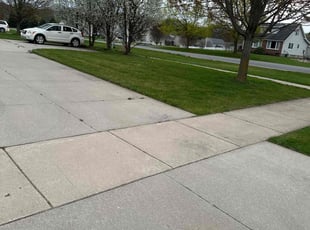 Richard R.'s Lawn Service service result