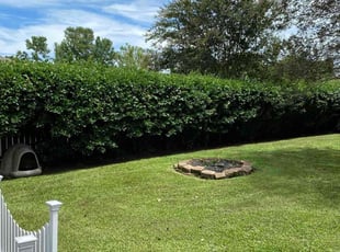 Bush Trimming by Henry Talbert for Mindy B. in Denham Springs, LA