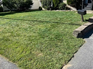 Wilbur H.'s Lawn Mowing Service service result