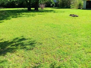 Mark K.'s Lawn Mowing service result