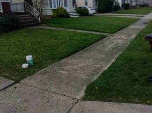 Nariusky A.'s Lawn Service service result