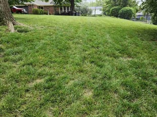 Leaf Removal by Ramiro Vicente for Joyce M. in Saint Charles, MO