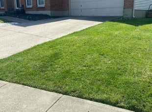 Maggie G.'s Lawn Service service result