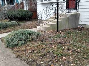 Weeding by Jose Perez for MaryAileen O. in Chicago, IL