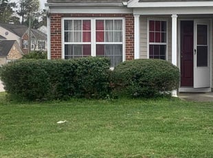 Bush Trimming by Addison Brown for Abdul S. in Raleigh, NC
