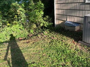 Cleanups by Brian Braby for Jenny B. in Kansas City, MO