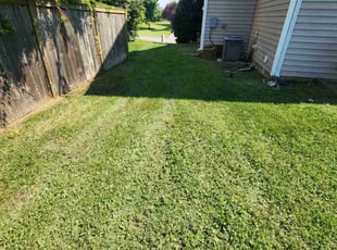 Robert O.'s Grass Cutting service result