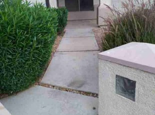 Bush Trimming by Andre Barreras for Jason S. in Gilbert, AZ
