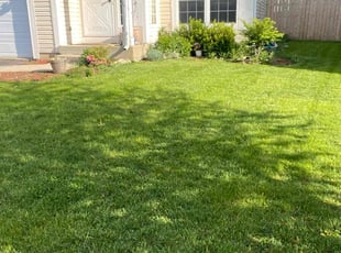Aranita T.'s Grass Cutting service result