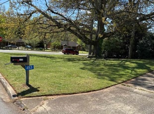 lee r.'s Lawn Care service result