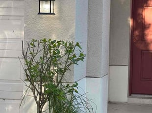 Bush Trimming by Robert Wynn for Denet S. in Riverview, FL