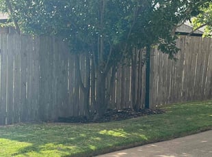 Bush Trimming by Noah Fiechtner for Jeffrey S. in Austin, TX